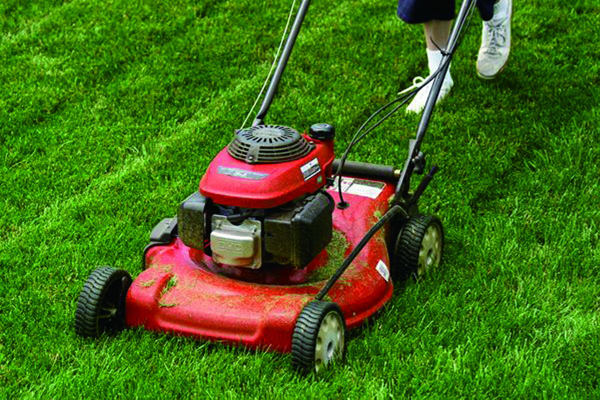 filters for AGRICULTURAL & GARDENING MACHINERY